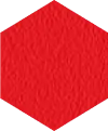 Red Hibiscus