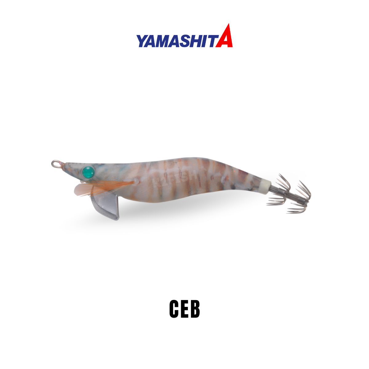 yamashita_ceb