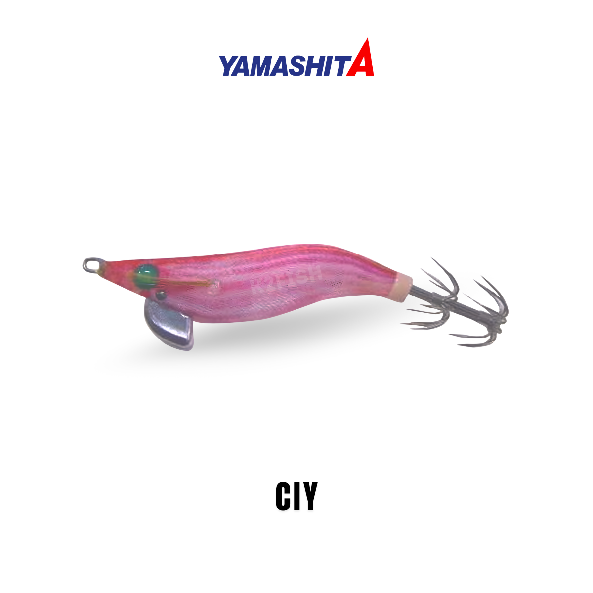 yamashita_ciy