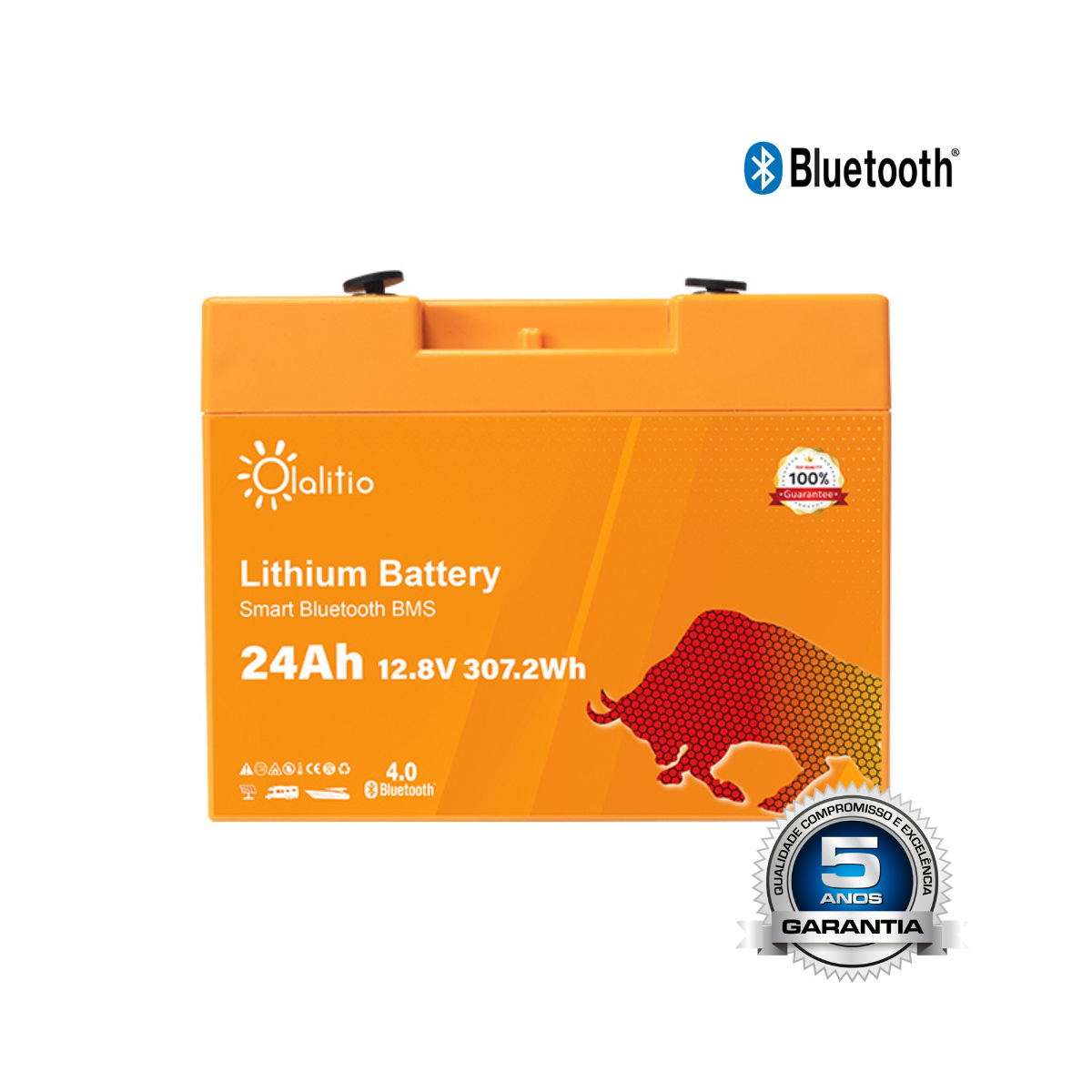 Bateria Olalitio LifePo4 BLuetooth BMS  - 12.8V/24A/307.2wh
